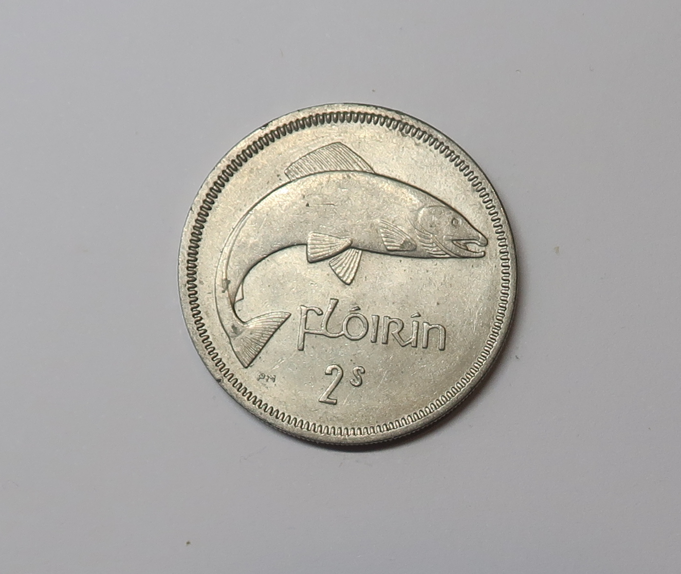 WHAT WAS THE IRISH FLORIN visual data 2