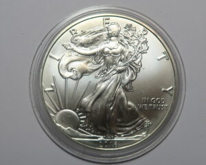 USA : WALKING LIBERTY ONE OUNCE 0.999 FINE SILVER 2016.